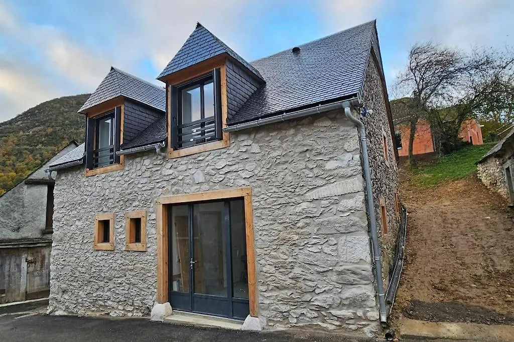 Maison Beyrede-Jumet-Camous Holiday home